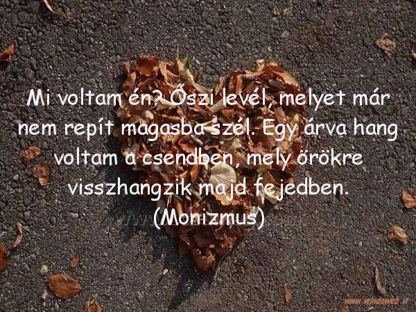 Mi voltam én? Őszi levél
 
Mi voltam én? Őszi levél, melyet már nem repít magasba szél. Egy árva hang voltam a csendben, mely örökre visszhangzik majd fejedben. (Monizmus)