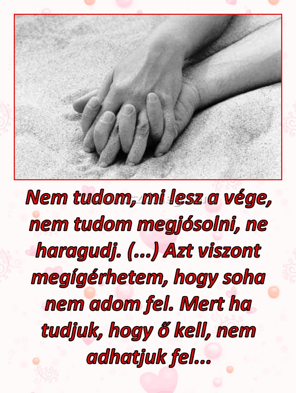Nem tudom, mi lesz a vége, nem tudom megjósolni, ne haragudj. (...) Azt viszont megígérhetem, hogy soha nem adom fel. Mert ha tudjuk, hogy ő kell, nem adhatjuk fel...
 
