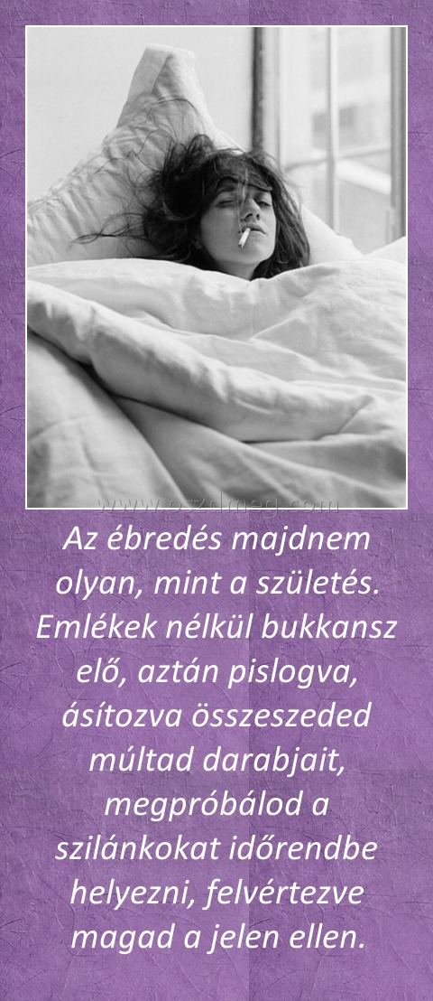 Az ébredés majdnem olyan, mint a születés. Emlékek nélkül bukkansz elő, aztán pislogva, ásítozva összeszeded múltad darabjait, megpróbálod a szilánkokat időrendbe helyezni, felvértezve magad a jelen ellen.
 
