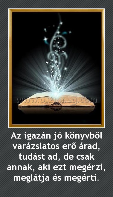 Az igazán jó könyvből varázslatos erő árad, tudást ad, de csak annak, aki ezt megérzi, meglátja és megérti.
 
