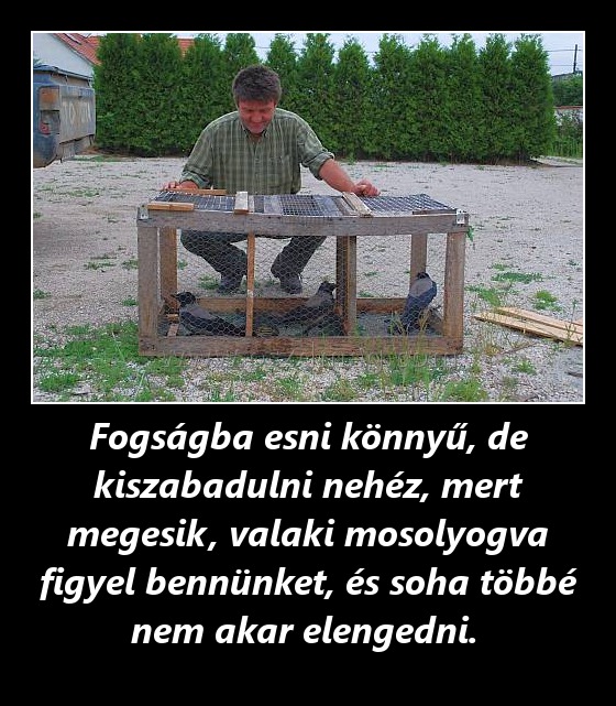 Fogságba esni könnyű, de kiszabadulni nehéz, mert megesik, valaki mosolyogva figyel bennünket, és soha többé nem akar elengedni. 
 
