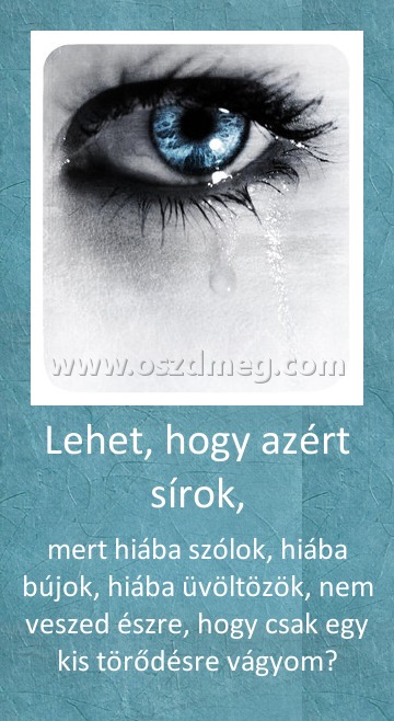 Lehet, hogy azért sírok, Lehet, hogy azért sírok,
mert hiába szólok, hiába bújok, hiába üvöltözök, nem veszed észre, hogy csak egy kis törődésre vágyom?