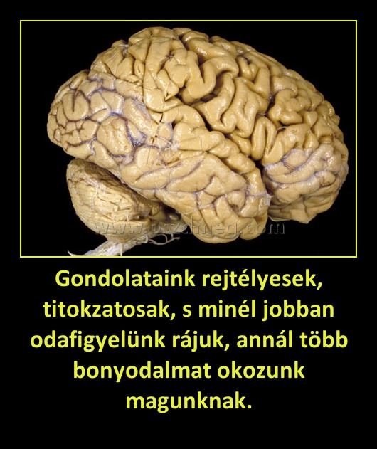 Gondolataink rejtélyesek, titokzatosak, s minél jobban odafigyelünk rájuk, annál több bonyodalmat okozunk magunknak.
 

