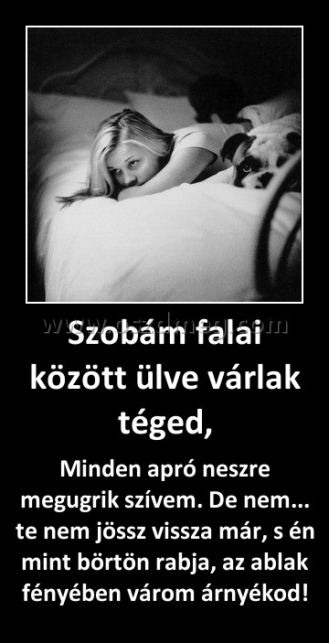 Szobám falai között ülve várlak téged, Szobám falai között ülve várlak téged,
Minden apró neszre megugrik szívem. De nem... te nem jössz vissza már, s én mint börtön rabja, az ablak fényében várom árnyékod!