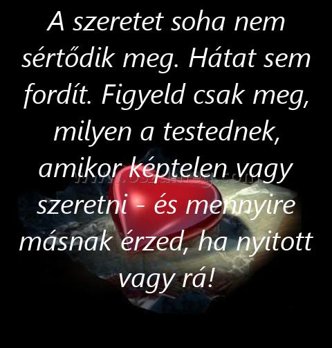 A szeretet soha nem
 
A szeretet soha nem sértődik meg. Hátat sem fordít. Figyeld csak meg, milyen a testednek, amikor képtelen vagy szeretni - és mennyire másnak érzed, ha nyitott vagy rá!