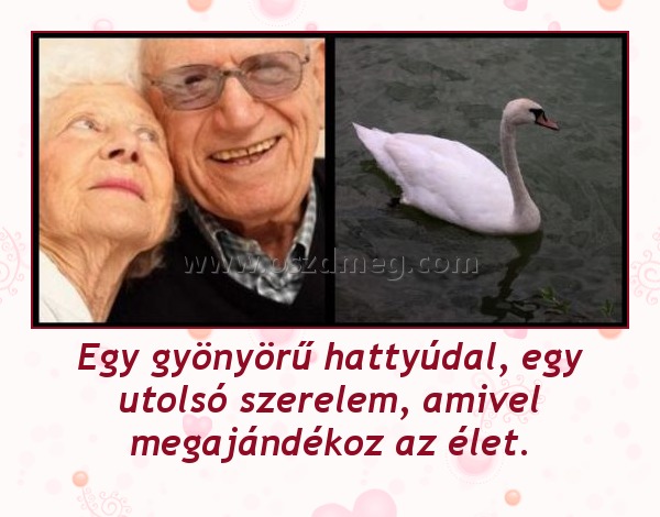 Egy gyönyörű hattyúdal, egy utolsó szerelem, amivel megajándékoz az élet.
 
