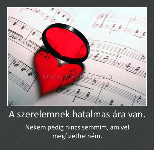 A szerelemnek hatalmas ára van. A szerelemnek hatalmas ára van.
Nekem pedig nincs semmim, amivel megfizethetném.