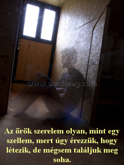 Az örök szerelem olyan
 
Az örök szerelem olyan, mint egy szellem, mert úgy érezzük, hogy létezik, de mégsem találjuk meg soha.