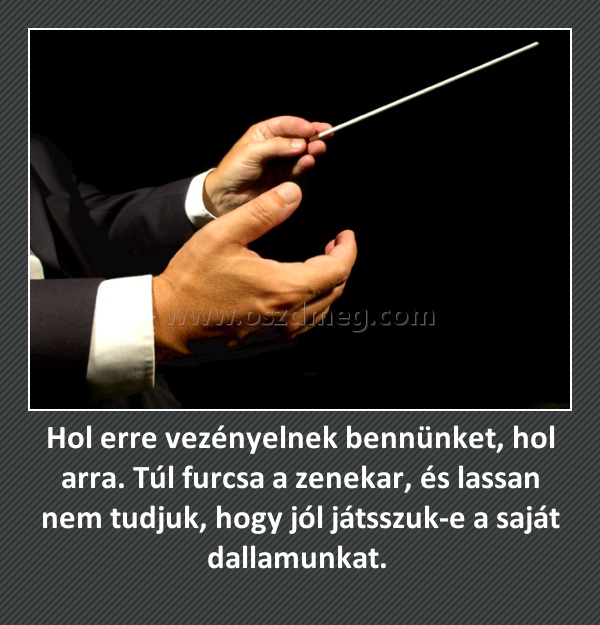 Hol erre vezényelnek bennünket, hol arra. Túl furcsa a zenekar, és lassan nem tudjuk, hogy jól játsszuk-e a saját dallamunkat. 
 
