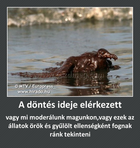 A döntés ideje elérkezett
 
vagy mi moderálunk magunkon,vagy ezek az állatok örök és gyűlölt ellenségként fognak ránk tekinteni