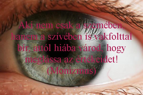 Aki nem csak a szemében
 
Aki nem csak a szemében, hanem a szívében is vakfolttal bír, attól hiába várod, hogy meglássa az értékeidet! (Monizmus)