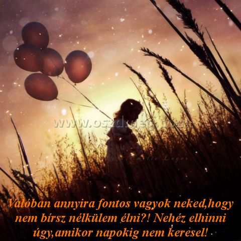 Valóban annyira fontos vagyok Valóban annyira fontos vagyok
Valóban annyira fontos vagyok neked,hogy nem bírsz nélkülem élni?! Nehéz elhinni úgy,amikor napokig nem keresel!