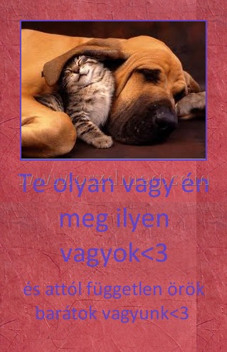 Te olyan vagy én meg ilyen vagyok<3
 
és attól független örök barátok vagyunk<3 