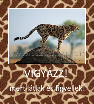 VIGYÁZZ! 
 
mert látlak és figyellek!