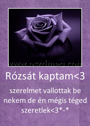 Rózsát kaptam<3
 
szerelmet vallottak be nekem de én mégis téged szeretlek<3*-*