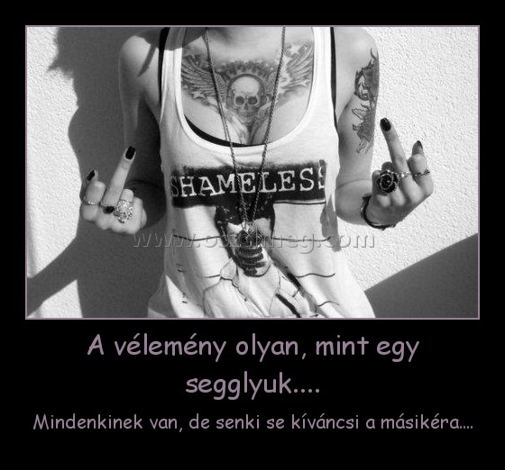 A vélemény olyan, mint egy segglyuk....
 
Mindenkinek van, de senki se kíváncsi a másikéra....