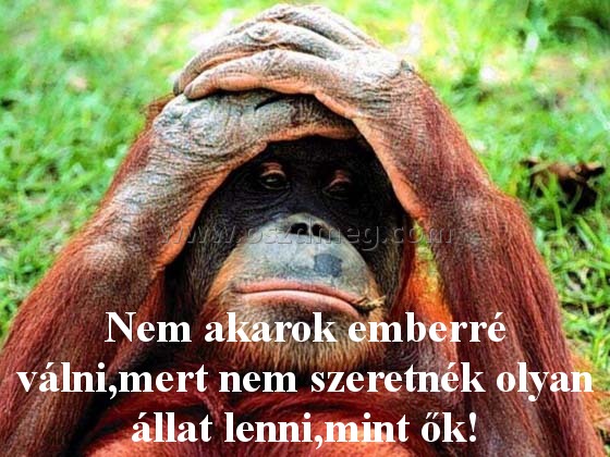Nem akarok emberré válni Nem akarok emberré válni
Nem akarok emberré válni,mert nem szeretnék olyan állat lenni,mint ők!
