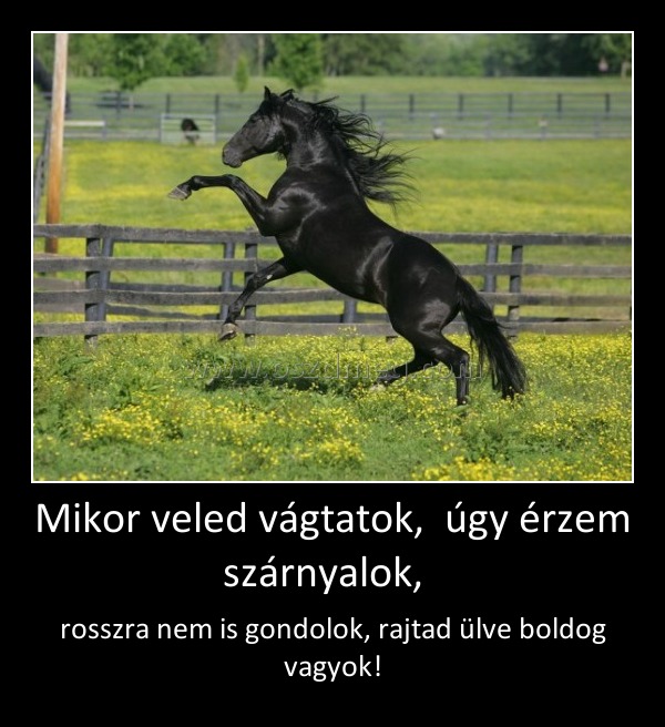 Mikor veled vágtatok,  úgy érzem szárnyalok,  
 
rosszra nem is gondolok, rajtad ülve boldog vagyok!