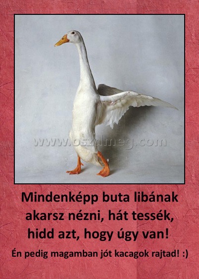 Mindenképp buta libának akarsz nézni, hát tessék, hidd azt, hogy úgy van! 
 
Én pedig magamban jót kacagok rajtad! :)