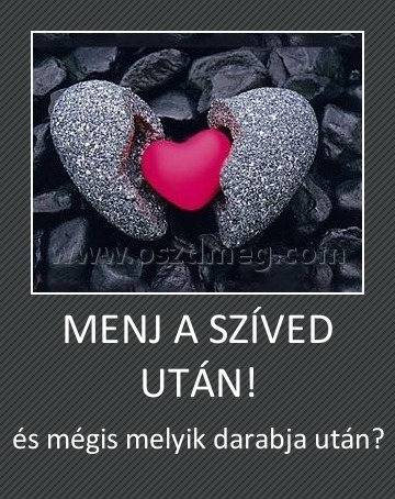 MENJ A SZÍVED UTÁN!
 
és mégis melyik darabja után?