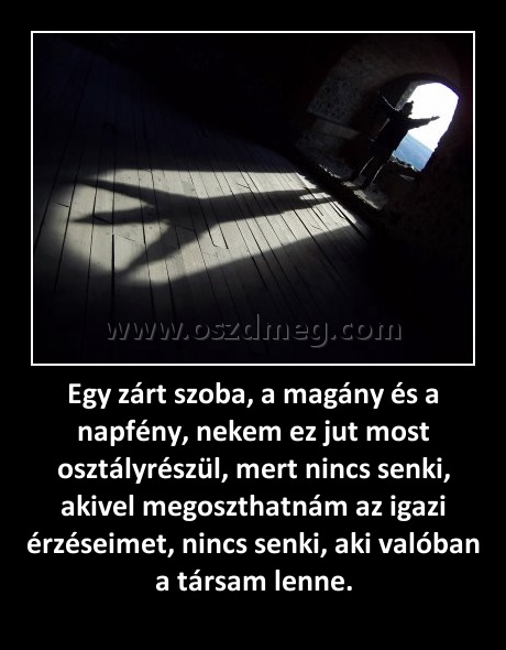 Egy zárt szoba, a magány és a napfény, nekem ez jut most osztályrészül, mert nincs senki, akivel megoszthatnám az igazi érzéseimet, nincs senki, aki valóban a társam lenne.
 
