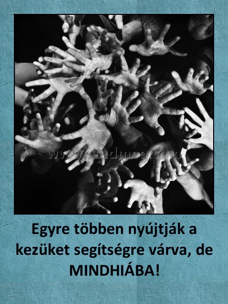 Egyre többen nyújtják a kezüket segítségre várva, de MINDHIÁBA! Egyre többen nyújtják a kezüket segítségre várva, de MINDHIÁBA!