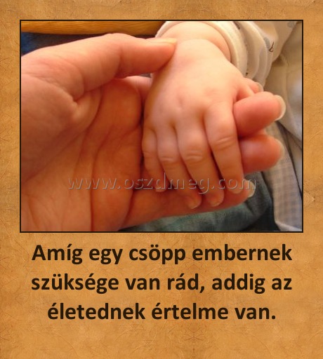 Amíg egy csöpp embernek szüksége van rád, addig az életednek értelme van.
 
