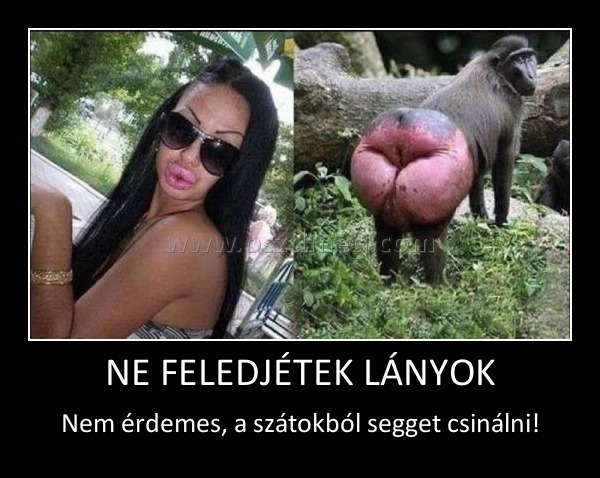 NE FELEDJÉTEK LÁNYOK
 
Nem érdemes, a szátokból segget csinálni!