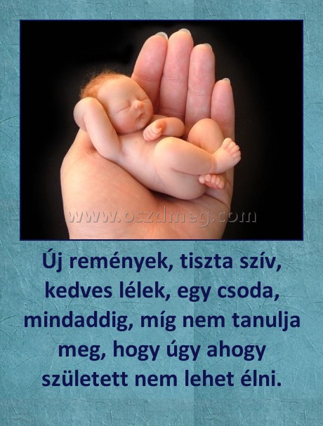 Új remények, tiszta szív, kedves lélek, egy csoda, mindaddig, míg nem tanulja meg, hogy úgy ahogy született nem lehet élni.
 
