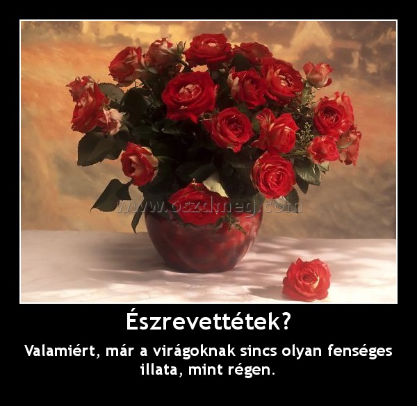 Észrevettétek?
 
Valamiért, már a virágoknak sincs olyan fenséges illata, mint régen.