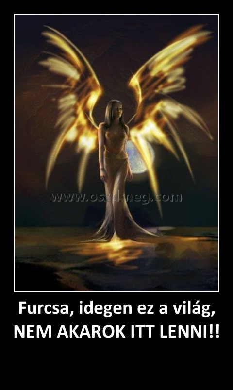 Furcsa, idegen ez a világ, NEM AKAROK ITT LENNI!! 
 
