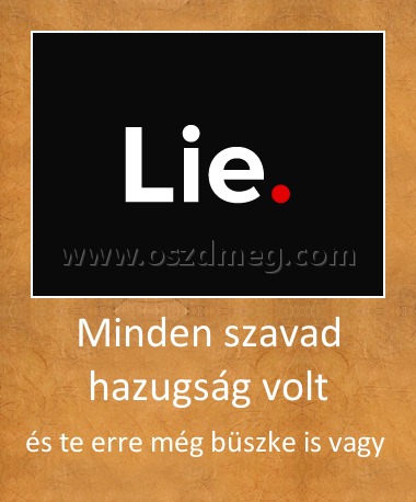 Minden szavad hazugság volt
 
és te erre még büszke is vagy 