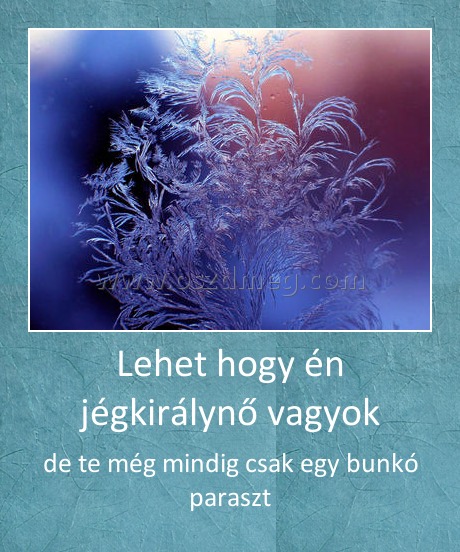 Lehet hogy én jégkirálynő vagyok Lehet hogy én jégkirálynő vagyok
de te még mindig csak egy bunkó paraszt