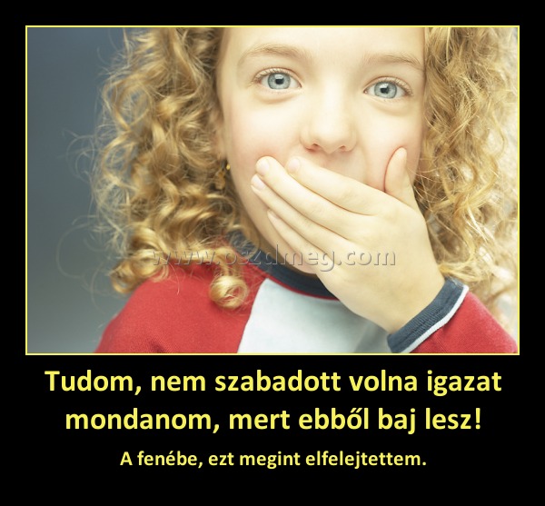 Tudom, nem szabadott volna igazat mondanom, mert ebből baj lesz! Tudom, nem szabadott volna igazat mondanom, mert ebből baj lesz!
A fenébe, ezt megint elfelejtettem.