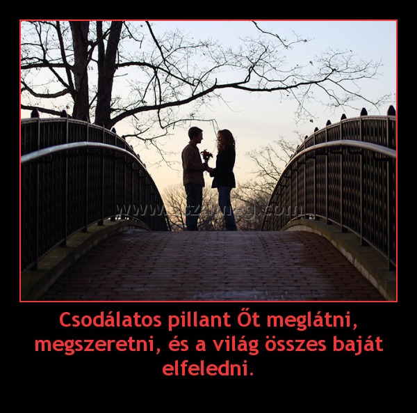 Csodálatos pillant Őt meglátni, megszeretni, és a világ összes baját elfeledni.
 
