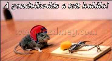A gondolkodás a tett
 
A gondolkodás a tett halála!