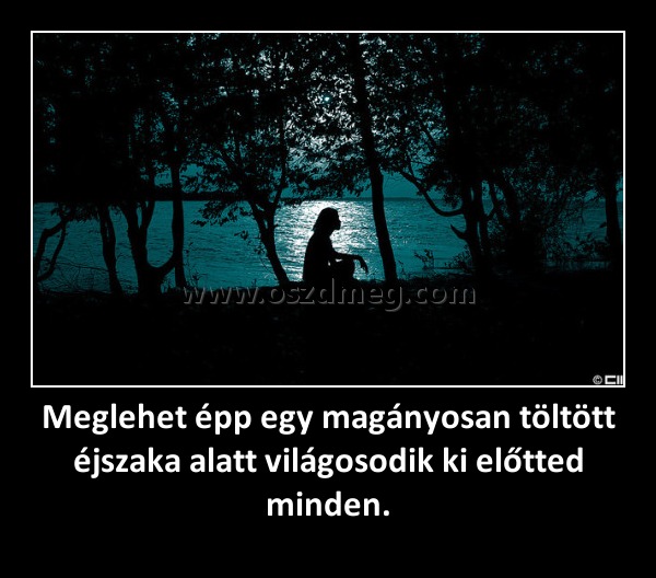 Meglehet épp egy magányosan töltött éjszaka alatt világosodik ki előtted minden. Meglehet épp egy magányosan töltött éjszaka alatt világosodik ki előtted minden.