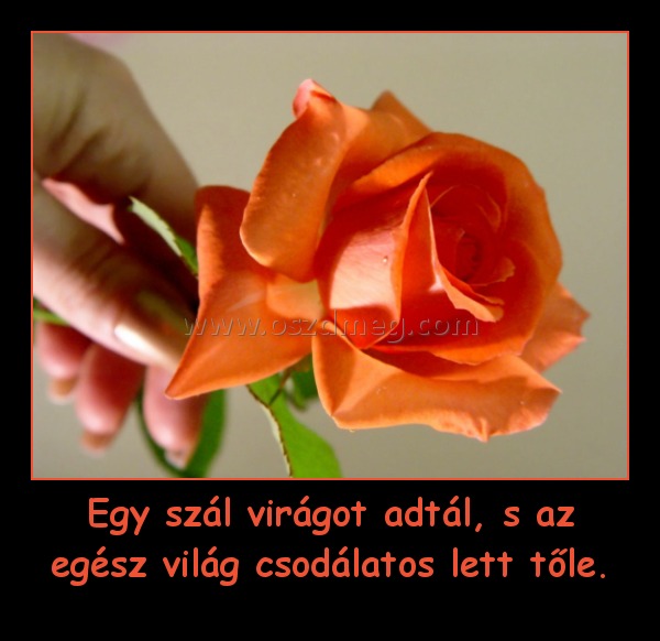 Egy szál virágot adtál, s az egész világ csodálatos lett tőle.
 
