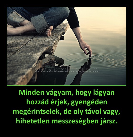 Minden vágyam, hogy lágyan hozzád érjek, gyengéden megérintselek, de oly távol vagy, hihetetlen messzeségben jársz.
 
