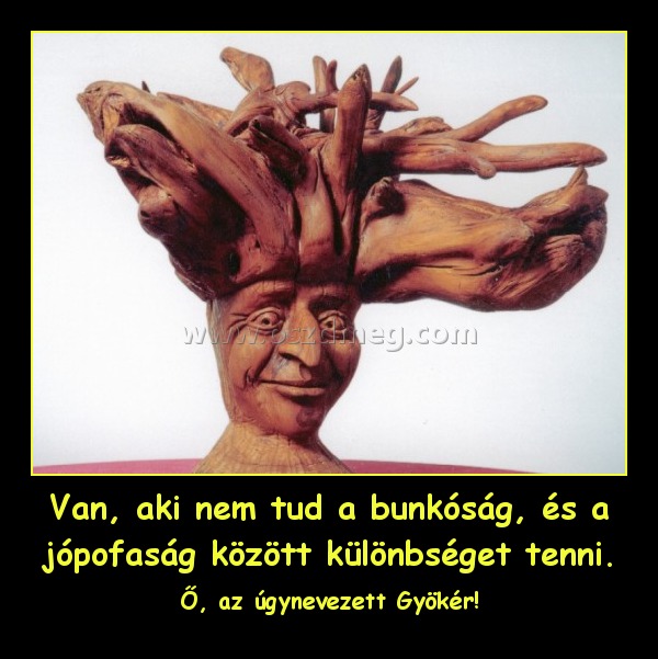 Van, aki nem tud a bunkóság, és a jópofaság között különbséget tenni. Van, aki nem tud a bunkóság, és a jópofaság között különbséget tenni.
Ő, az úgynevezett Gyökér!