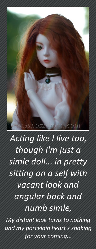 Acting like I live too, though I'm just a simle doll... in pretty sitting on a self with vacant look and angular back and numb simle,
 
My distant look turns to nothing and my porcelain heart's shaking for your coming...