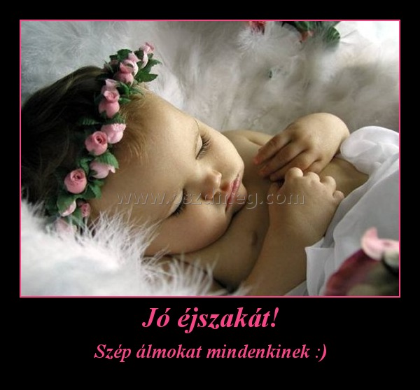 Jó éjszakát!
 
Szép álmokat mindenkinek :)