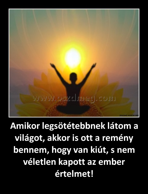 Amikor legsötétebbnek látom a világot, akkor is ott a remény bennem, hogy van kiút, s nem véletlen kapott az ember értelmet!
 

