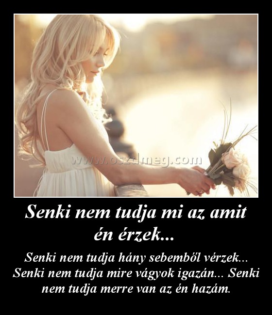 Senki nem tudja mi az amit én érzek... Senki nem tudja mi az amit én érzek...
Senki nem tudja hány sebemből vérzek... Senki nem tudja mire vágyok igazán... Senki nem tudja merre van az én hazám.