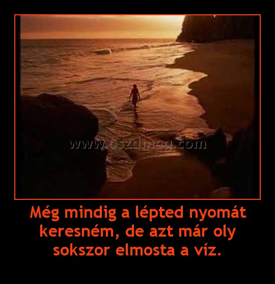 Még mindig a lépted nyomát keresném, de azt már oly sokszor elmosta a víz.
 
