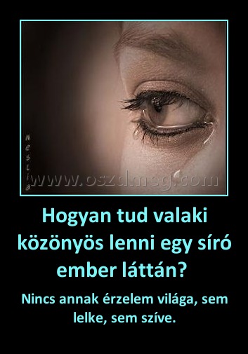 Hogyan tud valaki közönyös lenni egy síró ember láttán? 
 
Nincs annak érzelem világa, sem lelke, sem szíve.