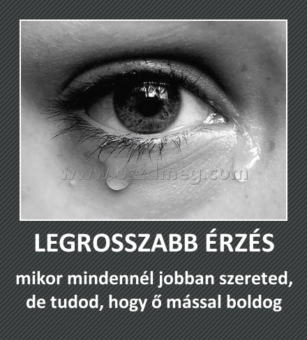 LEGROSSZABB ÉRZÉS LEGROSSZABB ÉRZÉS
mikor mindennél jobban szereted, de tudod, hogy ő mással boldog