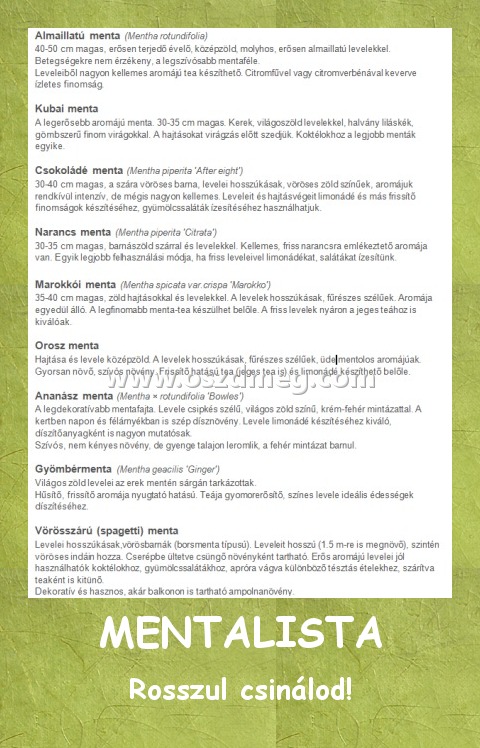 MENTALISTA
 
Rosszul csinálod!