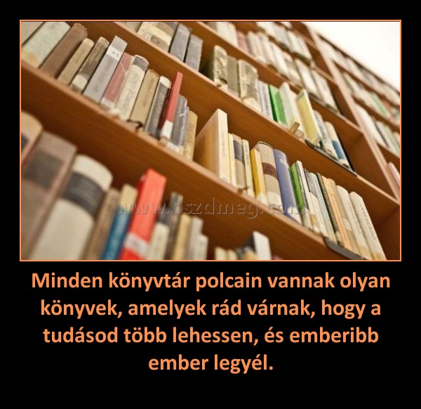 Minden könyvtár polcain vannak olyan könyvek, amelyek rád várnak, hogy a tudásod több lehessen, és emberibb ember legyél. Minden könyvtár polcain vannak olyan könyvek, amelyek rád várnak, hogy a tudásod több lehessen, és emberibb ember legyél.