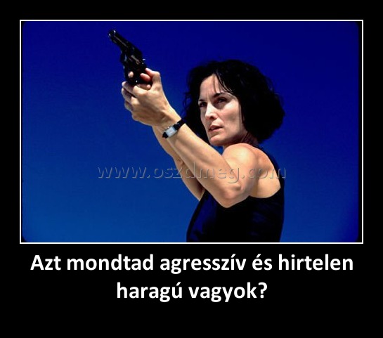 Azt mondtad agresszív és hirtelen haragú vagyok?
 
